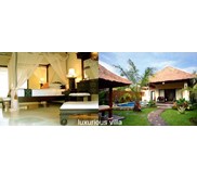 Bali Emerald Honeymooners