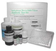 Synbiotics ProFLOK IBV (Infectious Bronchitis Virus)