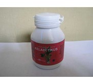 kapsul keladi tikus