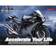 Ninja 250R