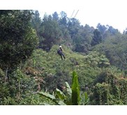 Flying Fox di puncak bogor