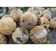 bola jati