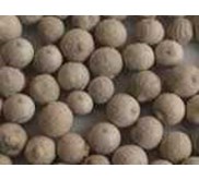 * * * * * SUPPLIER LADA PUTIH / WHITE PEPPER* * * * *