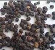 * * * * * SUPPLIER LADA HITAM / BLACK PEPPER* * * * *