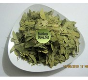 Daun Jati Cina
