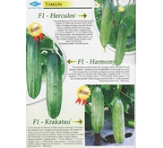 Bibit Timun, F1 Hercules, F1 Harmony, F1 Krakatau