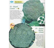 Bibit Brokoli,F1 Royal Green, F1 Super Royal Green