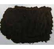 Bat fresh guano