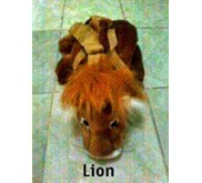 TAS BONEKA SINGA