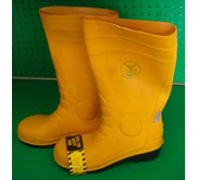 Safety Boot