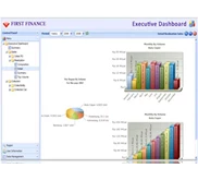 Executive Dashboard