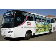 big bus