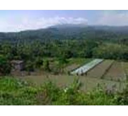 Tanah Kavling 400m2