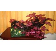 7.Pohon Cantik