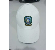 Topi