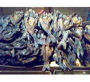 IKAN BAUNG ASEP