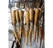 Koteka ( panjang)