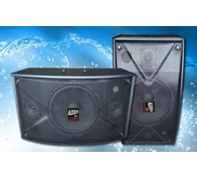SPEAKER PASSIVE PROFESSIONAL AUDERPRO AP10-K, 10 INCH