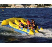 Flying Fish ZEBEC FF300