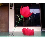 Lampion Bunga TULIP