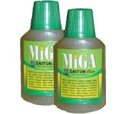 Miga Zaitun