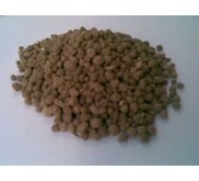 PUPUK ORGANIK GUANO PHOSPAT