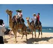 BALI CAMEL RIDE, WISATA NAIK UNTA DI BALI