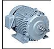 Meiden Induction Motor