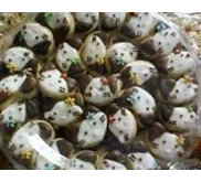 Kue Lebaran 4