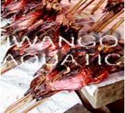 CAKALANG FUFU/ Smoked skipjack tuna