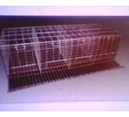 Kandang battery medium 2-1