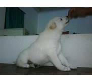 Sejak Kecil Dilatih