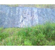 Batubara/ Steam Coal