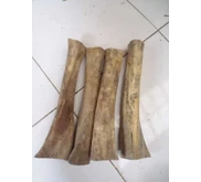 BELI TULANG SAPI