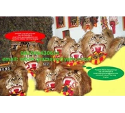 REOG