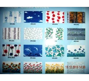 GLASS SHEET 3