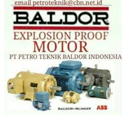 BALDOR AC MOTOR	 WASHDOWN