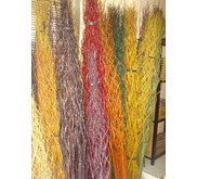 Bambu cendani / bambu inul