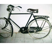 GAZELLE HEREN seri 8