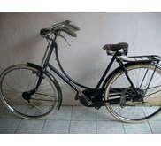 GAZELLE DAMES seri 9 TROMOL
