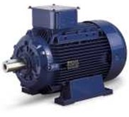 MARELLI ELECTRIK MOTOR
