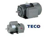 TECO ELECTRIC MOTOR / ELEKTROMOTOR TECO/ MOTOR TECO