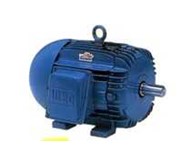 WEG ELECTRIC MOTOR