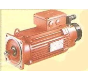 SEW PERMANENT FIELD SYNCHRONOUS MOTORS ( SEW SEVRO MOTOR)