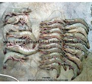 Udang Jerbung/ Banana Prawn( Penaeus Merguiensis )