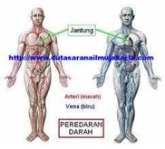 SMP027 - BIOLOGI LMS ( 9)