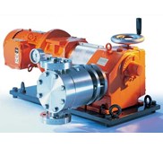 PROMINENT PUMPS