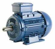WEG ELECTRIC MOTOR