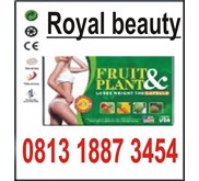 FRUIT PLANT PELANGSING BADAN