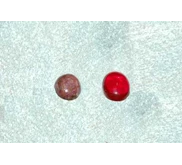 BATU MERAH SIAM & BATU RUBI COKLAT